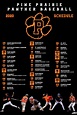 Baseball Schedule Template | PosterMyWall