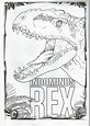 Imagenes De Jurassic World Indominus Rex Para Colorear - Impresion gratuita