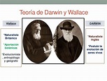 Teorias De Darwin E Wallace