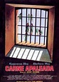 Carne apaleada (1978) - FilmAffinity