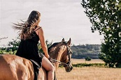Susan River Horse Riding Homestead, Daily Rides