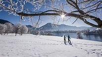 Winterwanderung in Bayern Tegernsee | Top Touren erleben