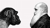 Teoria De Darwin E Wallace