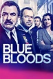 Blue Bloods Saison 14 - AlloCiné