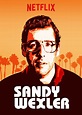 SANDY WEXLER - Film Reviews - Crossfader