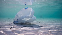 Doku "The North Drift - Plastik in Strömen" - Die weiten Wege unseres Mülls
