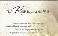 Thoughts and Crosses †: The Rose Beyond the Wall