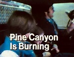 Pine Canyon Is Burning (1977)