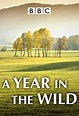 A Year in the Wild on BBC2 | TV Show, Episodes, Reviews and List | SideReel