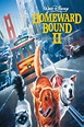Homeward Bound II: Lost in San Francisco | Disney Movies