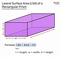 Surface Area of a Rectangular Prism - Formulas, Examples, & Diagrams