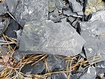 Rockhounding in the USA: The Famous Fern Fossils of Pennsylvania