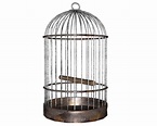 birdcage - Google Search | Hanging bird cage, Bird cage, Vintage bird cage