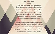 Hermann Hesse Gedicht Stufen | Sprüche zum abschied kollegen, Sprüche ...