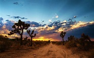 High Desert Wallpapers - Top Free High Desert Backgrounds - WallpaperAccess