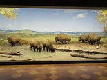 Natural History Museum Diorama | Unbeliefe Facts