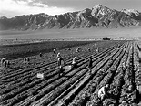 Ansel Adams - Farm workers and Mt. Williamson (Sierra Nevada, Pacific ...