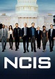 NCIS - Unità anticrimine - guarda la serie in streaming