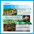 Photosynthesis, Plants, and Fungi: Graphic Organizers for Gr 3-5