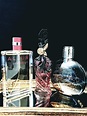 John Galliano John Galliano perfume - a fragrance for women 2008