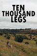 Ten Thousand Legs (película 2022) - Tráiler. resumen, reparto y dónde ...