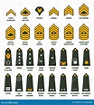 USA Army Enlisted Ranks Chevrons with Insignia Stock Vector ...