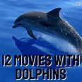 12 Movies with Dolphins - Best Movies Right Now