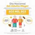 infografia-adultos-mayores-2019-FINAL-1 | IIEG | Strategos | Adulto ...
