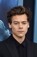 How Harry Styles’s Iconic Hair Has Evolved Over the Years | Vogue