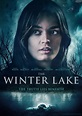 The Winter Lake (2020) - Posters — The Movie Database (TMDB)