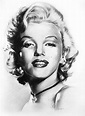 Marylin | Marilyn monroe artwork, Marilyn monroe art, Marilyn monroe ...