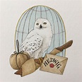 Harry Potter Hedwig Drawing at PaintingValley.com | Explore collection ...