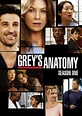 Grey's Anatomy Temporada 1 - SensaCine.com.mx