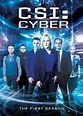 CSI: Cyber - Serie de TV - CINE.COM