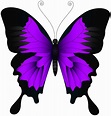 Free Purple Butterfly Cliparts, Download Free Purple Butterfly Cliparts ...