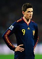 Fernando Torres Mundial 2010 - Combi