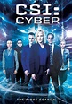 CSI: Cyber - Stream: Jetzt Serie online finden & anschauen