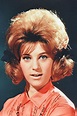 Sheila 1960s Hair, Beehive Hair, Portraits, Bouffant, Sixties, Hairdo ...