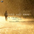 Tears And Rain | James Blunt ~ Lirik lagu Barat dan Artinya - DeLirik