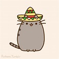 mexican pusheen cat viva mexico cute meow pet kawaii | Imagenes de ...