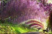 9 Gorgeous Out-of-the-Way Spots in Kyushu | All About Japan