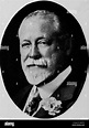 Empire state notables, 1914 . W. EMLEN ROOSEVELT Ranker, Roosevelt ...