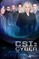 Reparto CSI: Cyber temporada 1 - SensaCine.com