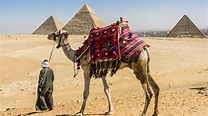 Pin en Egipto y sus tradiciones