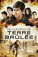 Le Labyrinthe: La Terre brûlée streaming sur Film Streaming - Film 2015 ...