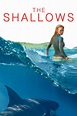 The Shallows (2016) - Posters — The Movie Database (TMDB)