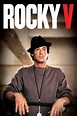 Rocky V (1990) - Posters — The Movie Database (TMDB)