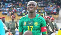 Cameroun - Lions Indomptables/Stéphane Mbia: «C’est trop facile de ...