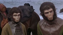 Ver El planeta de los simios (1968) Online Latino HD - PELISPLUS