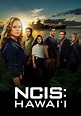 NCIS: Hawai'i Season 2 - watch episodes streaming online